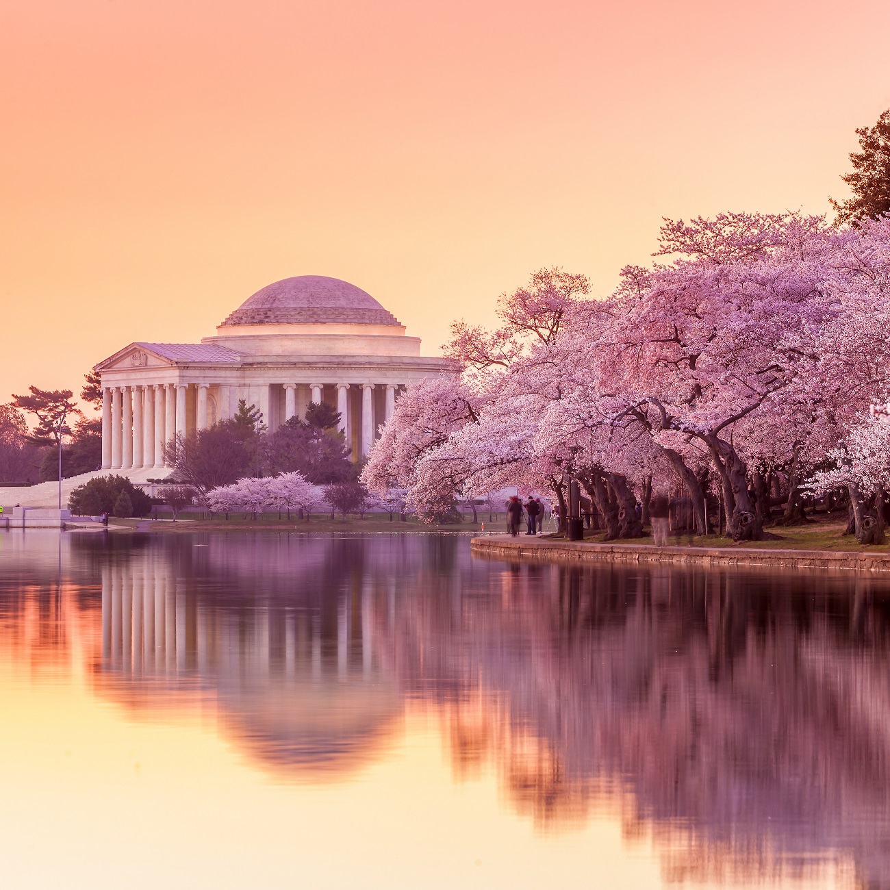 Physician Assistant Opportunity Centreville, VA